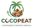 Export Indonesia